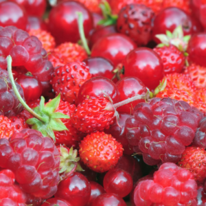Fondant parfumé Fruits Rouges