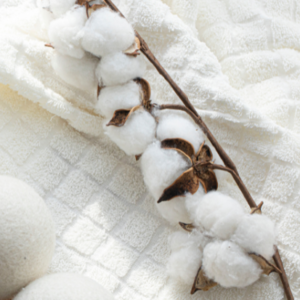 Fondant parfumé Fleur de Coton
