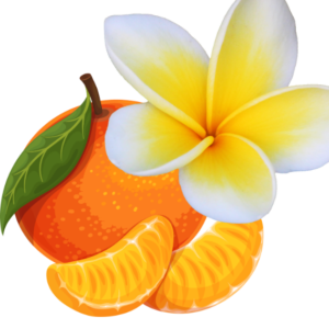 Fondant parfumé Monoï Clémentine