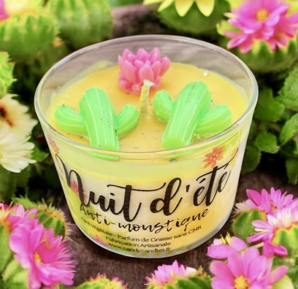 Bougie Anti moustique Bougie citronnelle