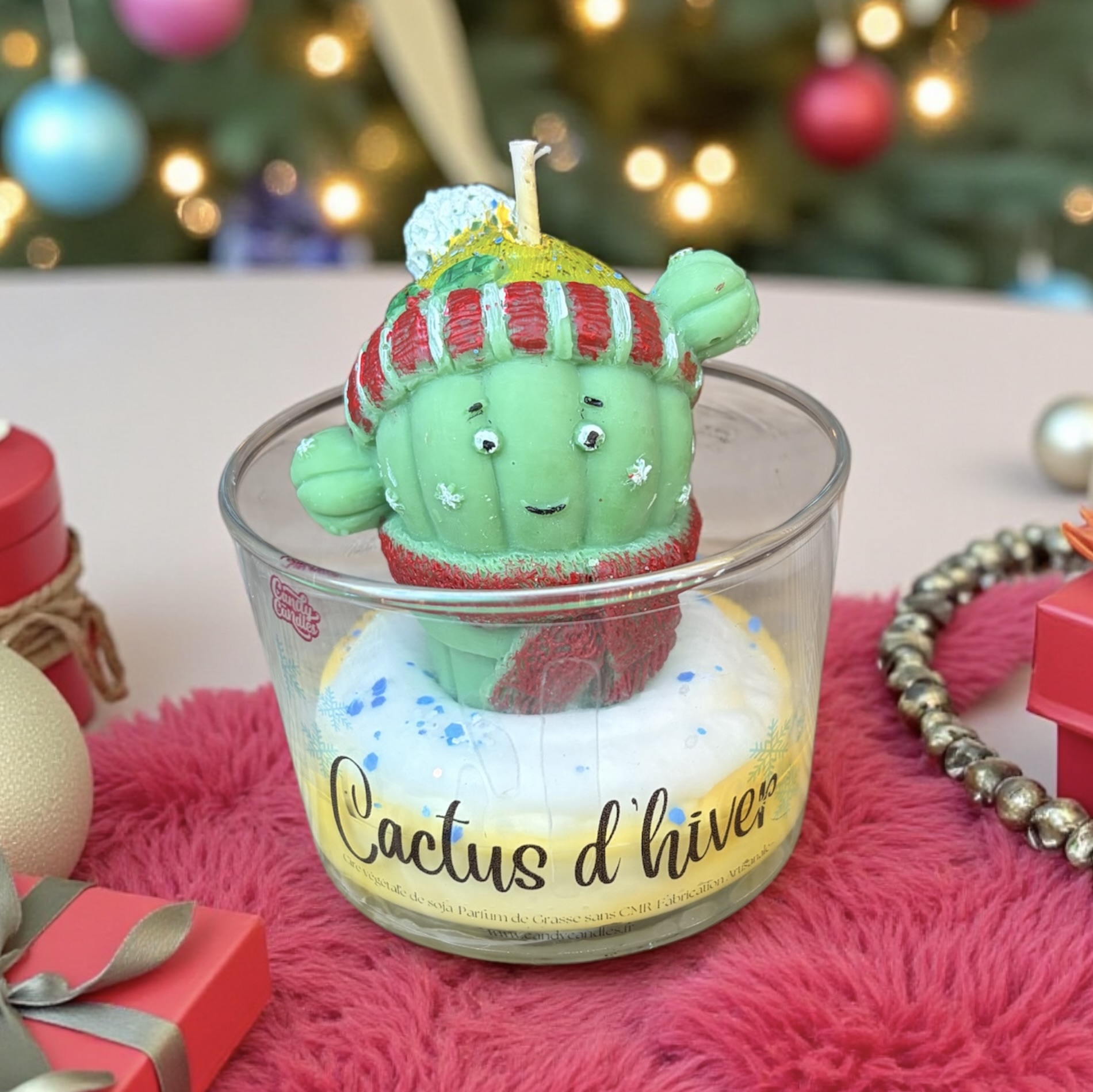 Bougie Gourmande Cactus d'hiver Aloé Vera